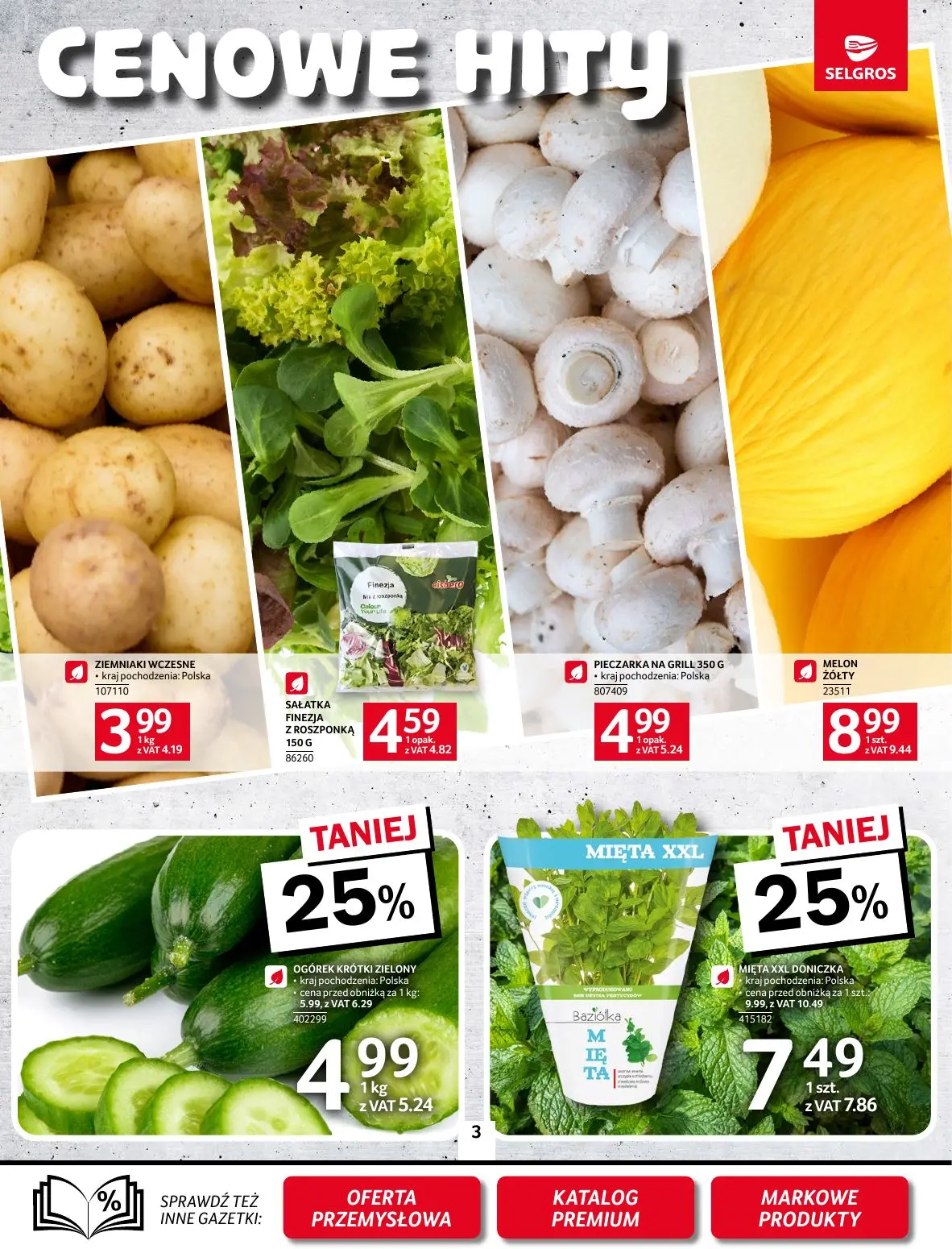 gazetka promocyjna SELGROS Oferta spożywcza - Strona 3
