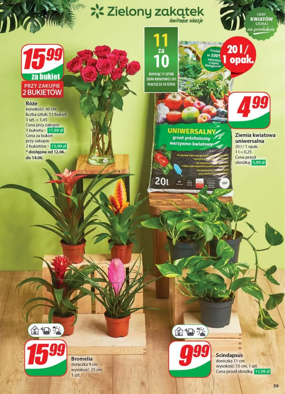 gazetka promocyjna dino Najbliżej ciebie - Strona 59