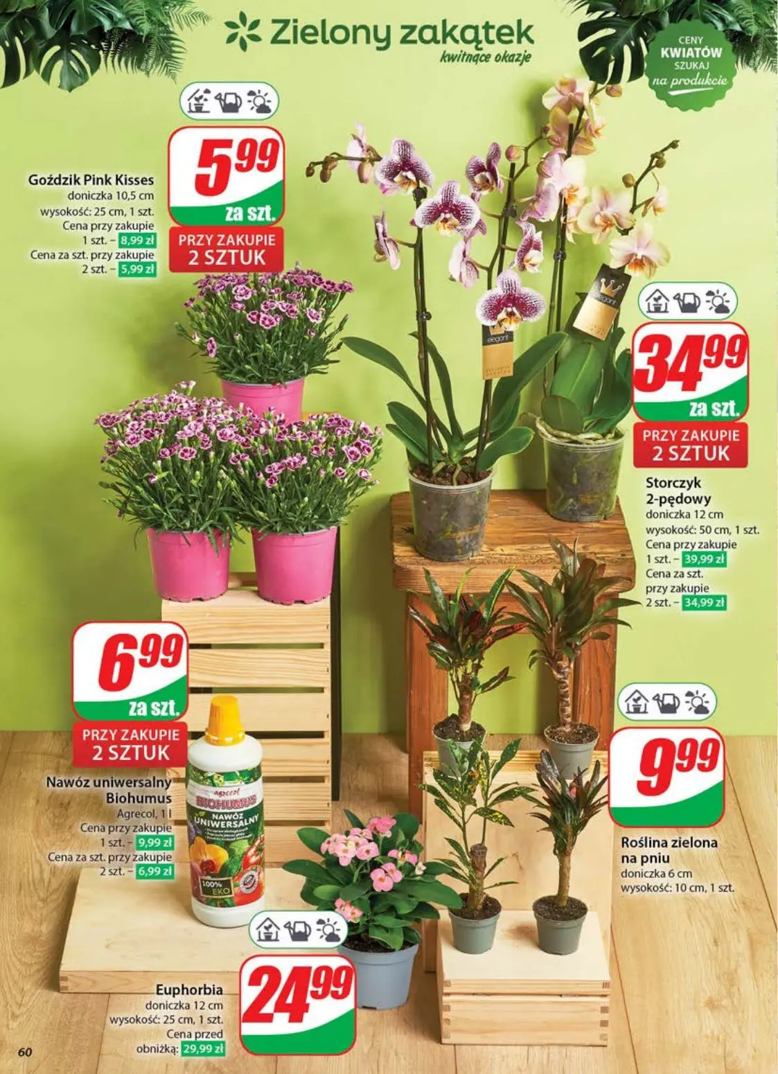 gazetka promocyjna dino Najbliżej ciebie - Strona 60