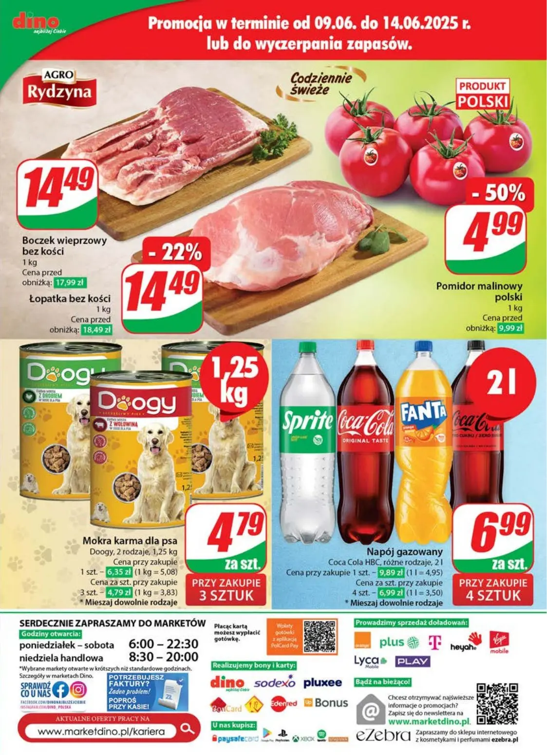 gazetka promocyjna dino Najbliżej ciebie - Strona 73