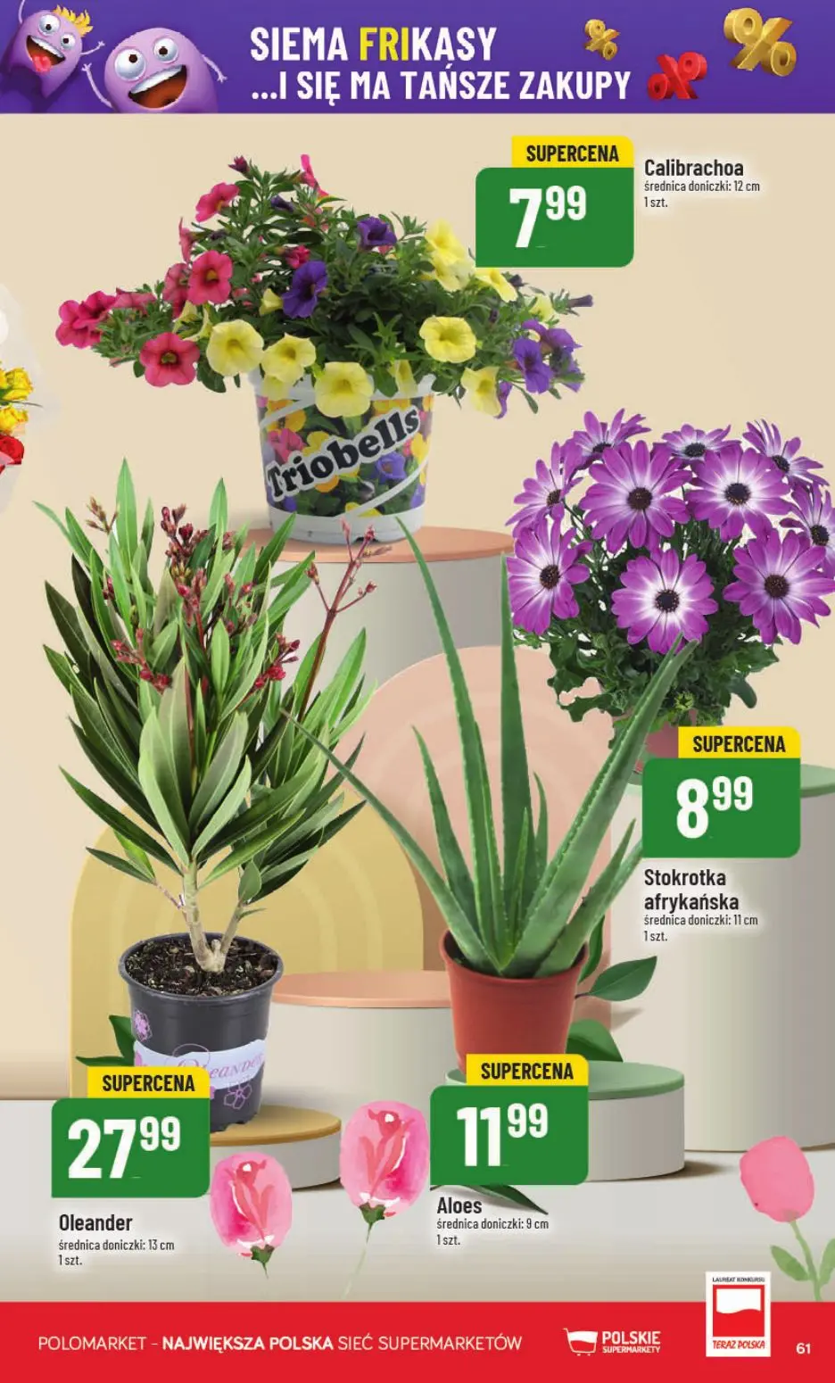 gazetka promocyjna POLOmarket Do Polo po eXXtra promki - Strona 61