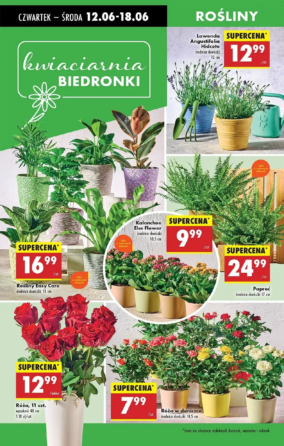 gazetka promocyjna Biedronka Od czwartku - Strona 64