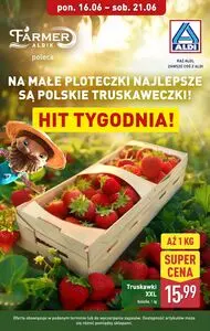 Gazetka promocyjna ALDI, ważna od 2025-06-16 do 2025-06-21.