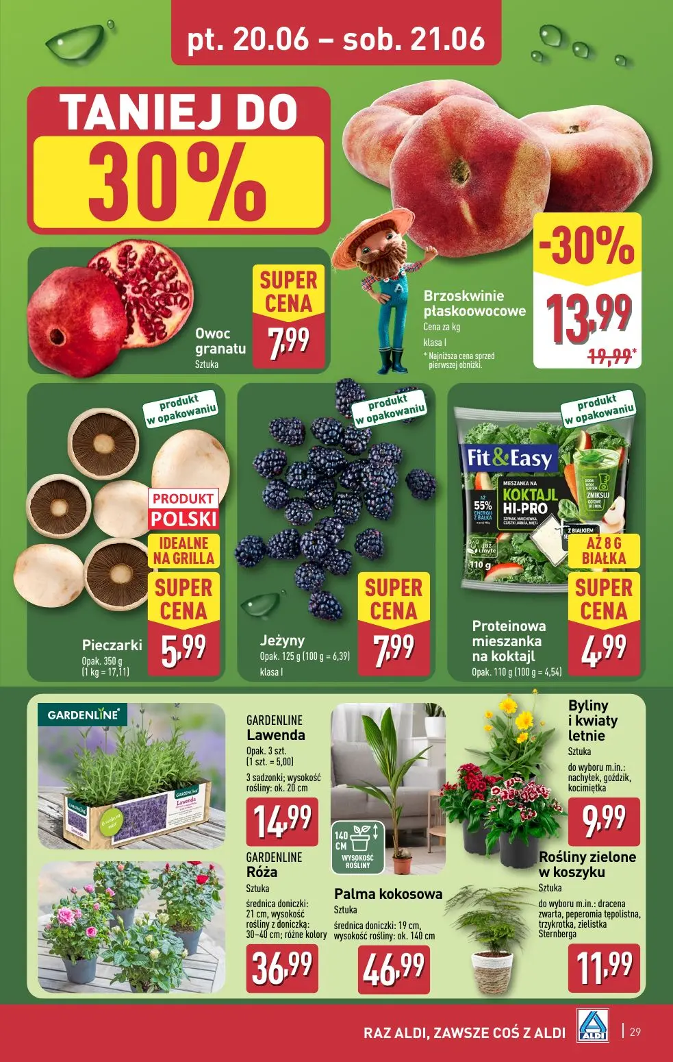 gazetka promocyjna ALDI Raz ALDI, zawsze coś z ALDI - Strona 29