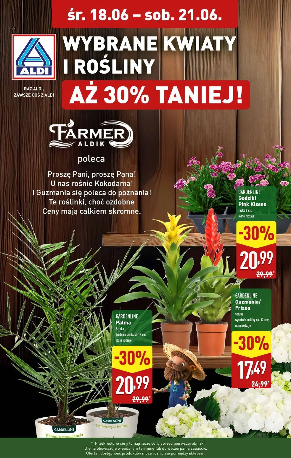 gazetka promocyjna ALDI Rośliny taniej 🪴 - Strona 1