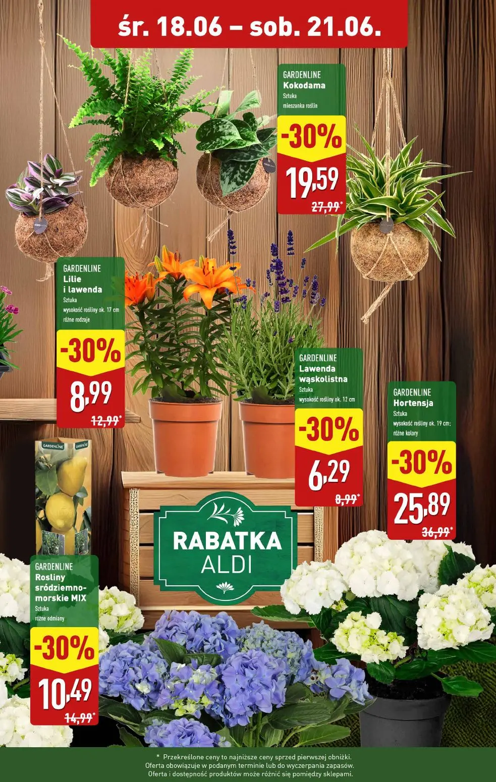 gazetka promocyjna ALDI Rośliny taniej 🪴 - Strona 2