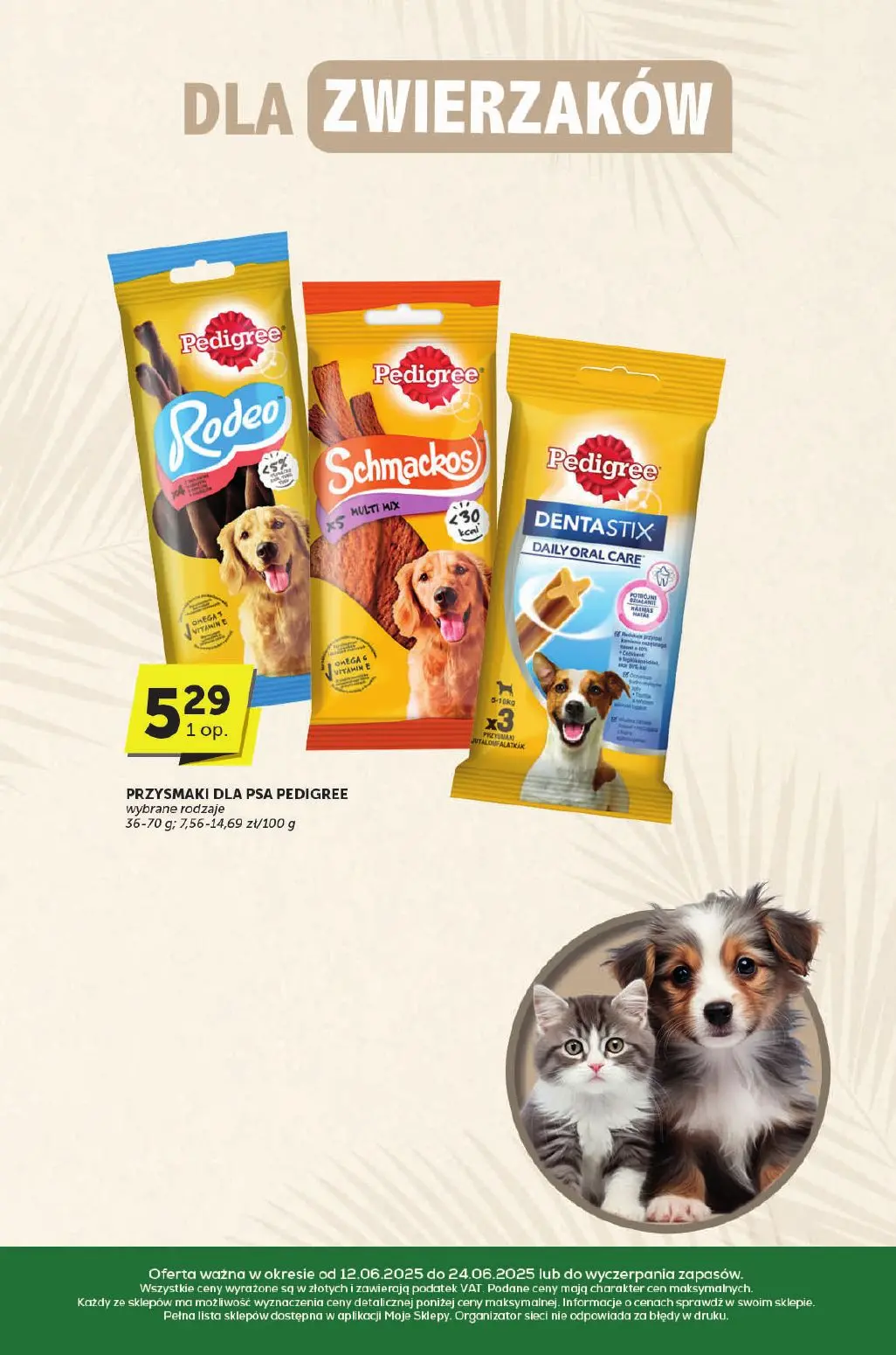 gazetka promocyjna groszek Katalog - Strona 33