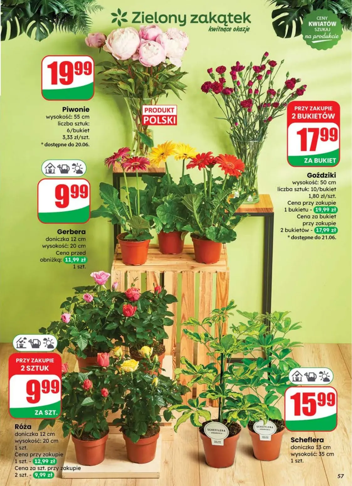 gazetka promocyjna dino Najbliżej Ciebie - Strona 57