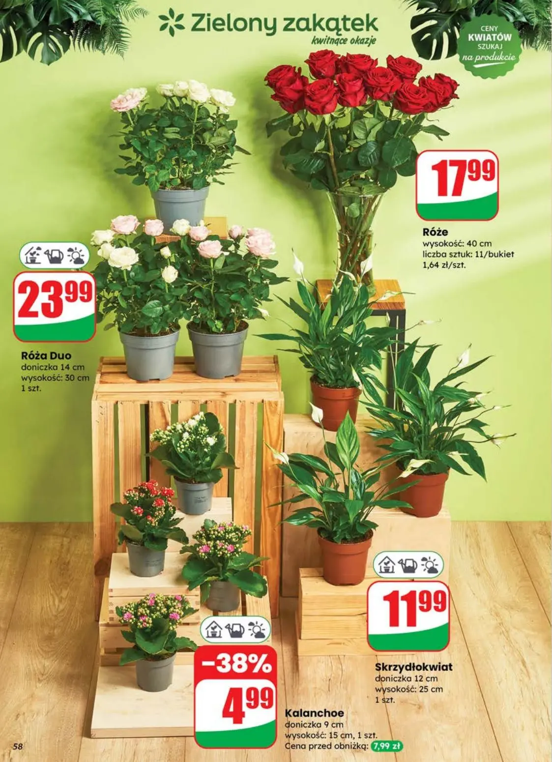 gazetka promocyjna dino Najbliżej Ciebie - Strona 58