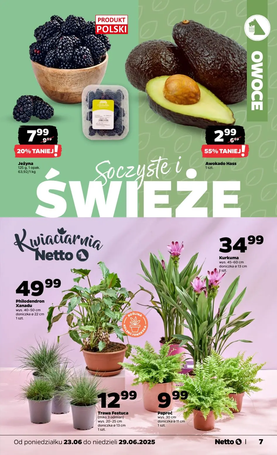 gazetka promocyjna NETTO Proste oszczędności - Strona 7
