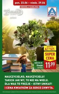 Gazetka promocyjna ALDI, ważna od 2025-06-23 do 2025-06-29.