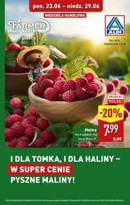 Gazetka promocyjna ALDI, ważna od 2025-06-23 do 2025-06-29.