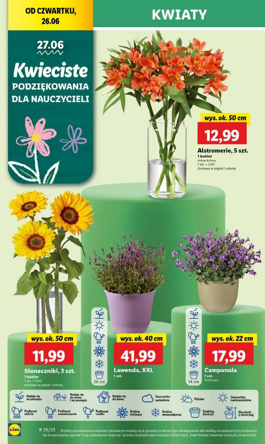 gazetka promocyjna LIDL Od czwartku - Strona 58