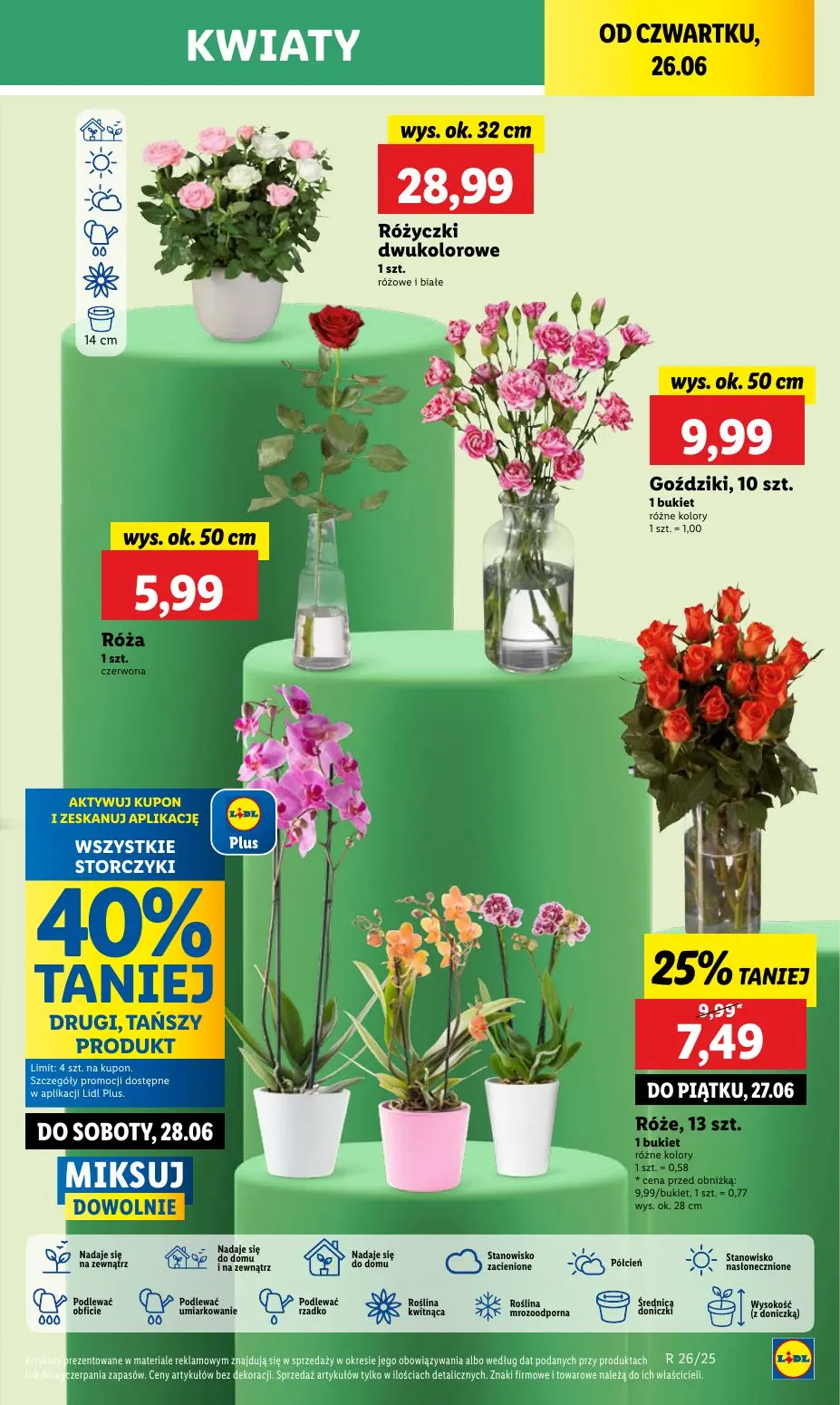 gazetka promocyjna LIDL Od czwartku - Strona 59
