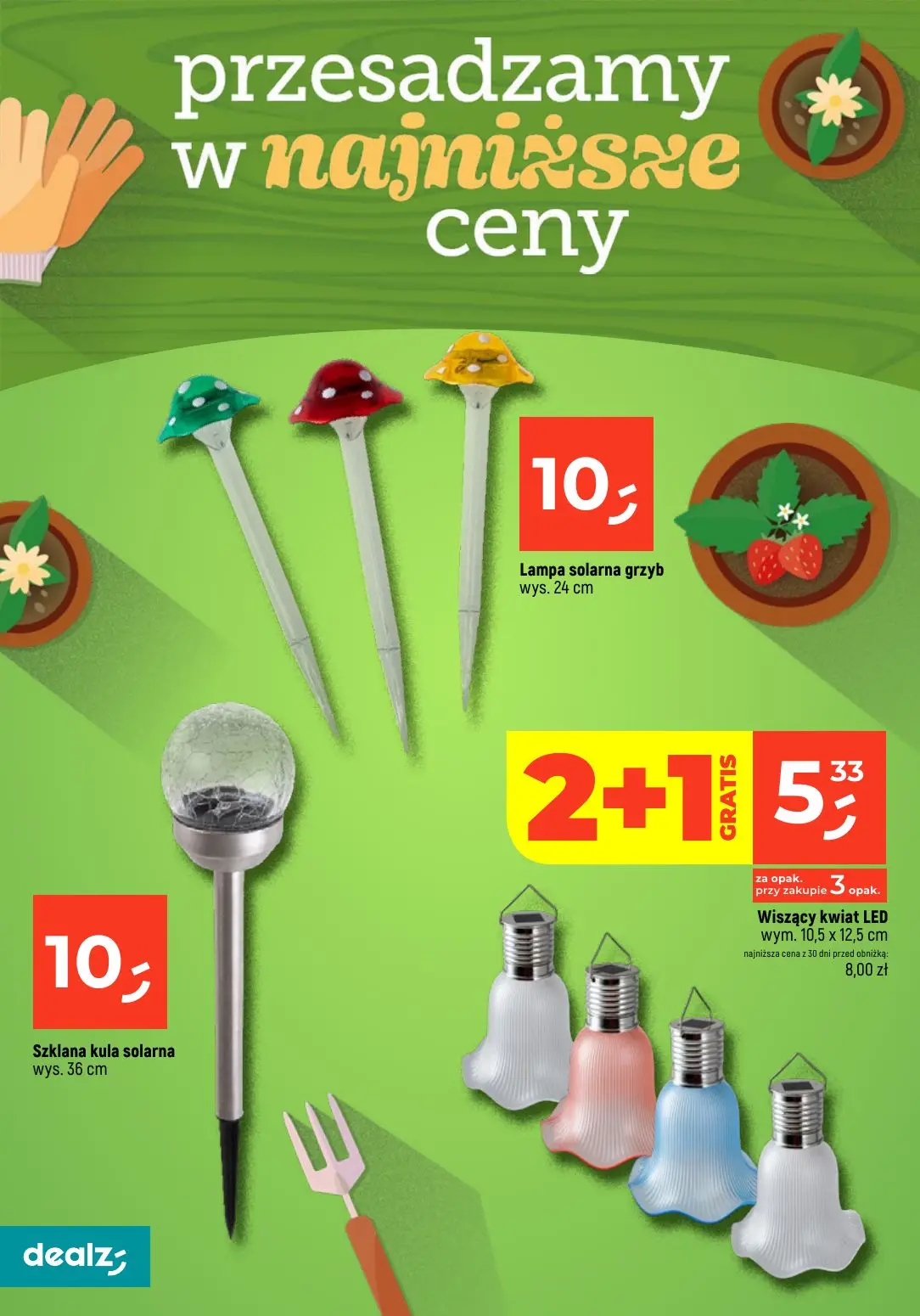 gazetka promocyjna Dealz Przesadzamy w najniższe ceny - Strona 12