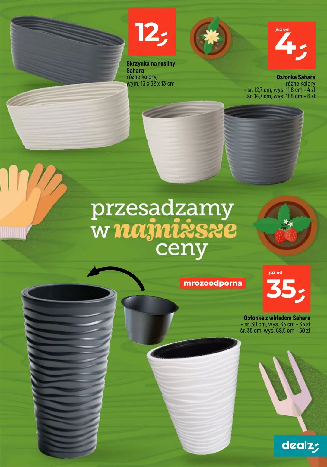 gazetka promocyjna Dealz Przesadzamy w najniższe ceny - Strona 29