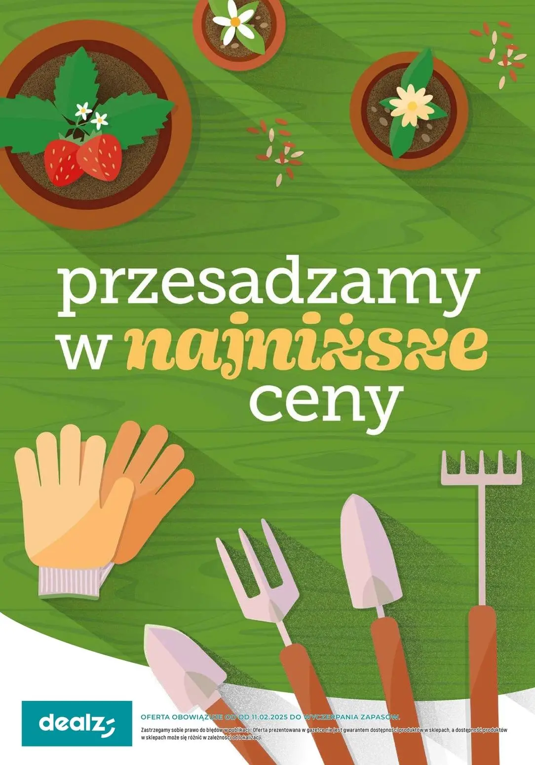 gazetka promocyjna Dealz Przesadzamy w najniższe ceny - Strona 1
