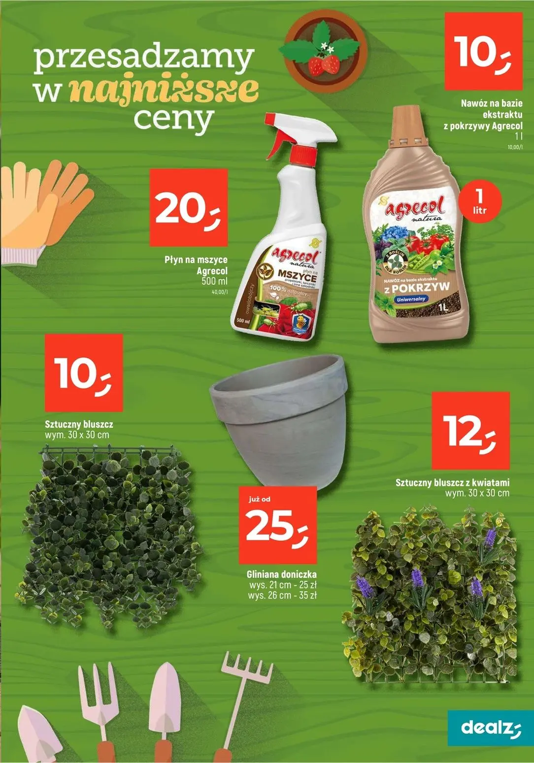 gazetka promocyjna Dealz Przesadzamy w najniższe ceny - Strona 7