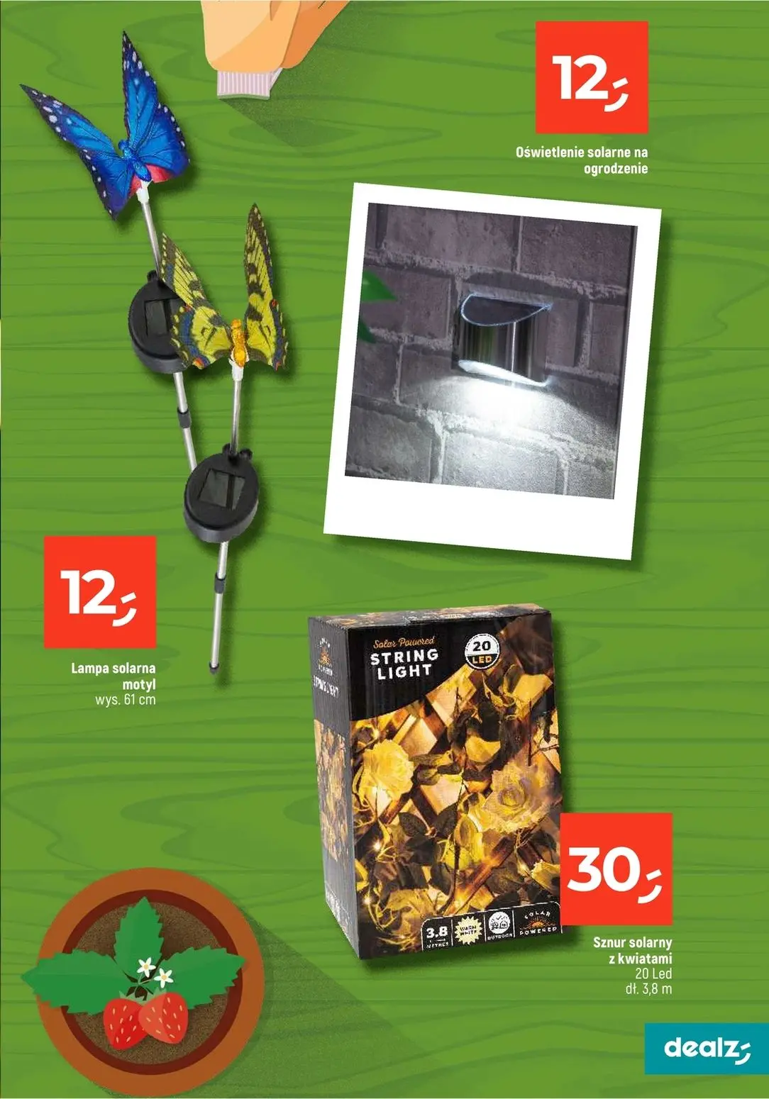 gazetka promocyjna Dealz Przesadzamy w najniższe ceny - Strona 9