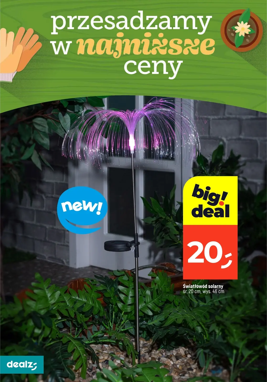 gazetka promocyjna Dealz Przesadzamy w najniższe ceny - Strona 10