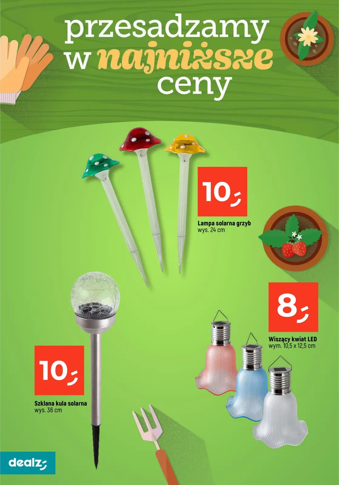 gazetka promocyjna Dealz Przesadzamy w najniższe ceny - Strona 12