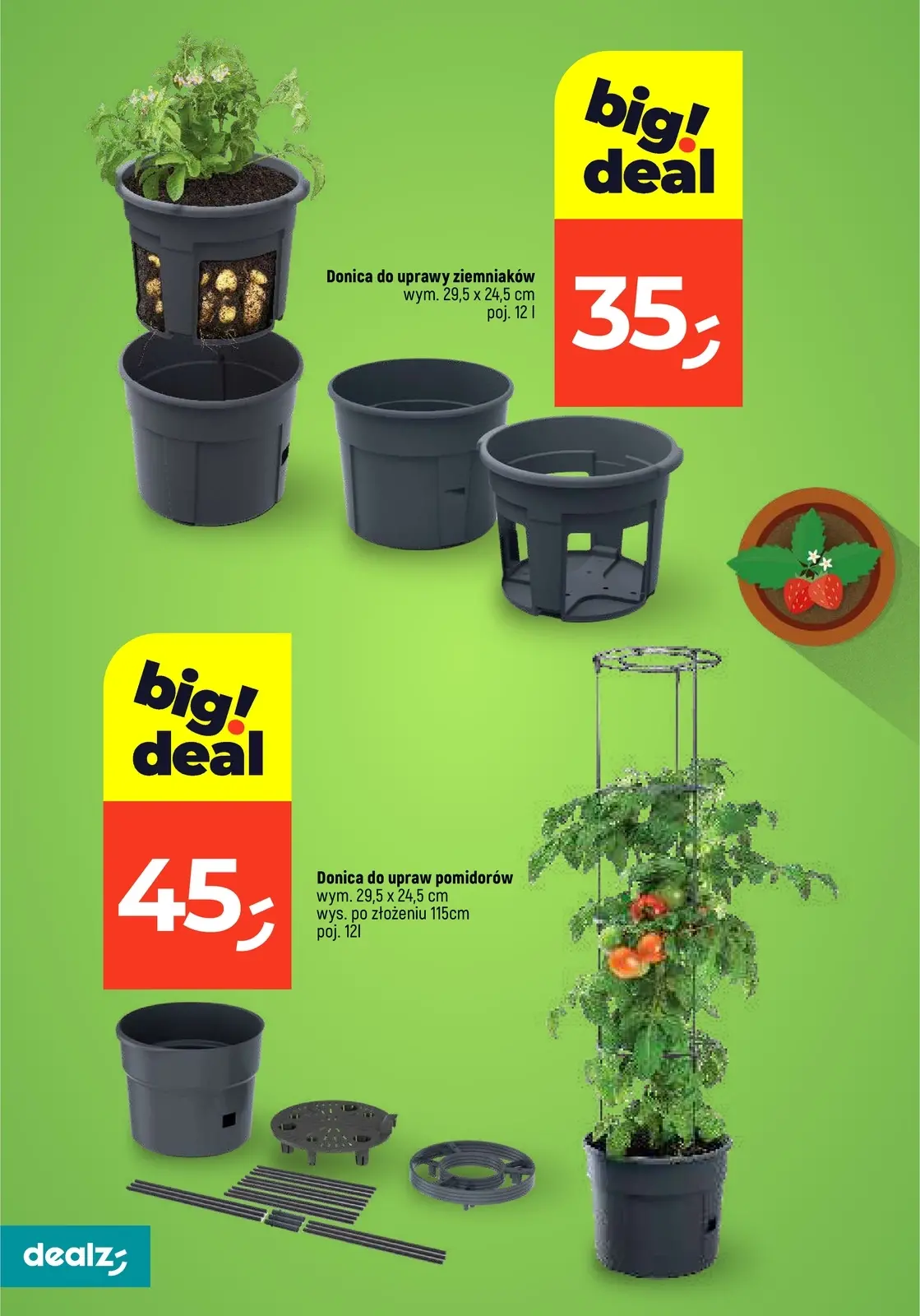 gazetka promocyjna Dealz Przesadzamy w najniższe ceny - Strona 14