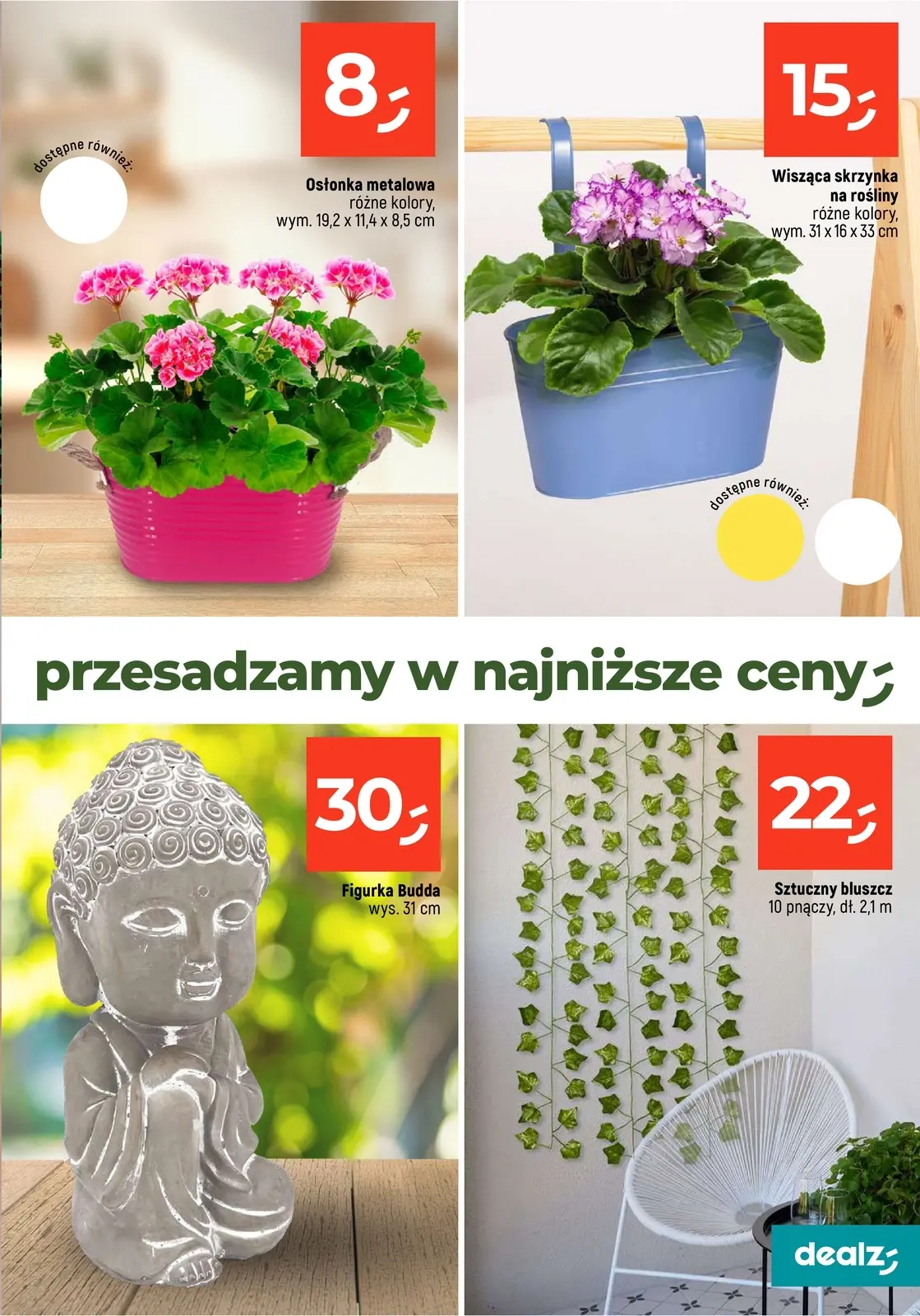 gazetka promocyjna Dealz Przesadzamy w najniższe ceny - Strona 19