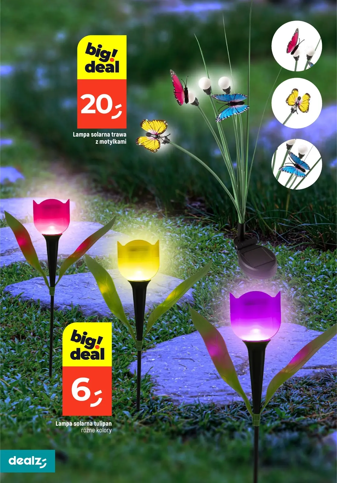 gazetka promocyjna Dealz Przesadzamy w najniższe ceny - Strona 20