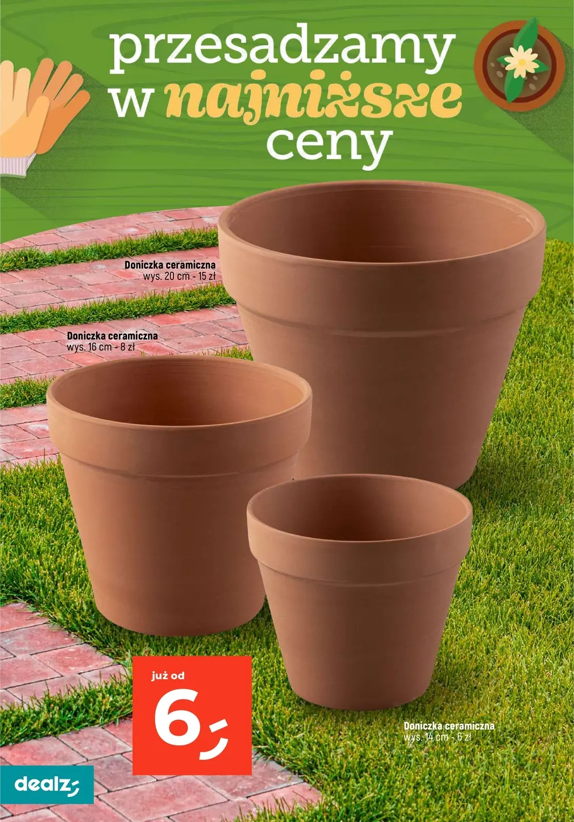 gazetka promocyjna Dealz Przesadzamy w najniższe ceny - Strona 22