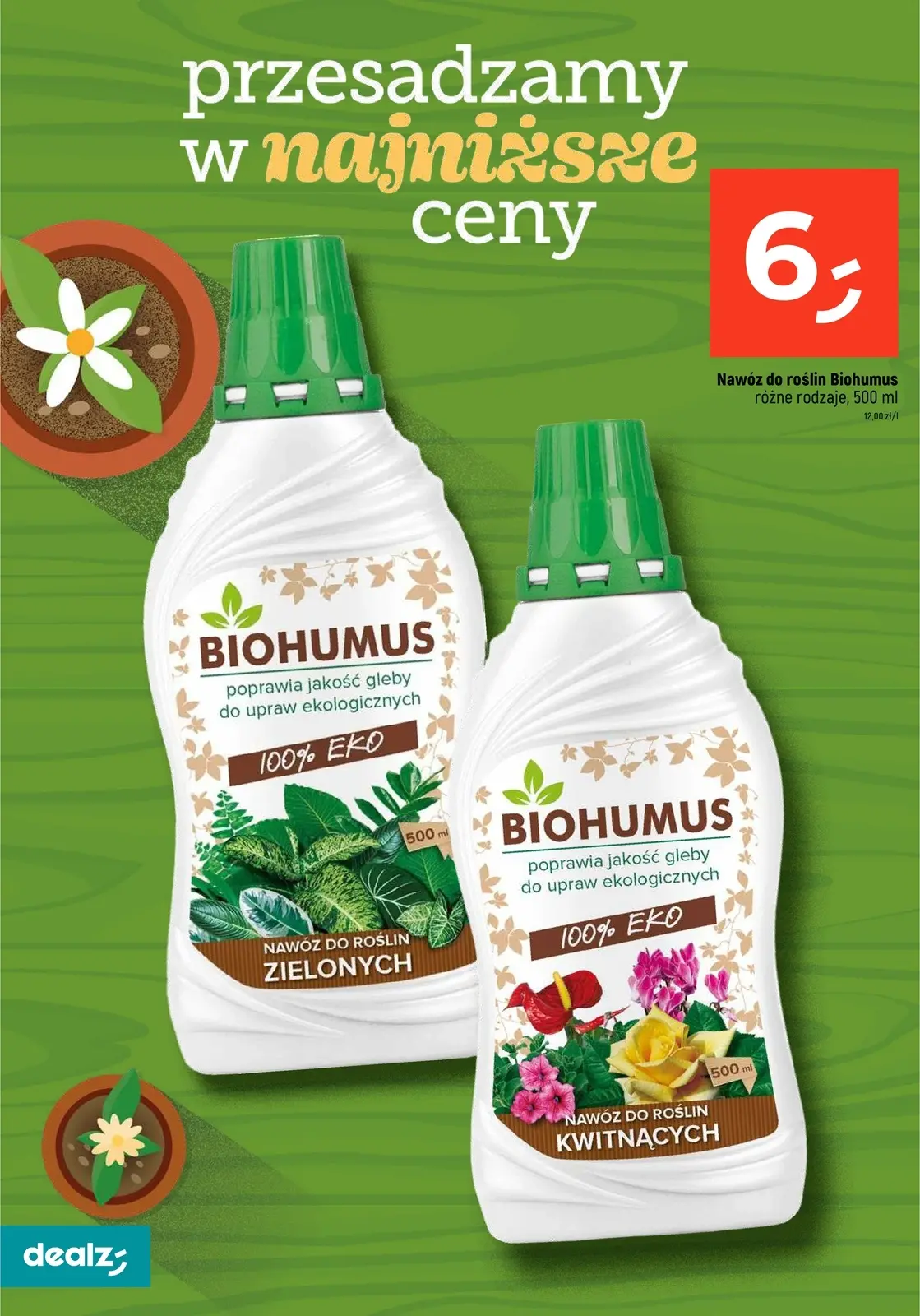 gazetka promocyjna Dealz Przesadzamy w najniższe ceny - Strona 24