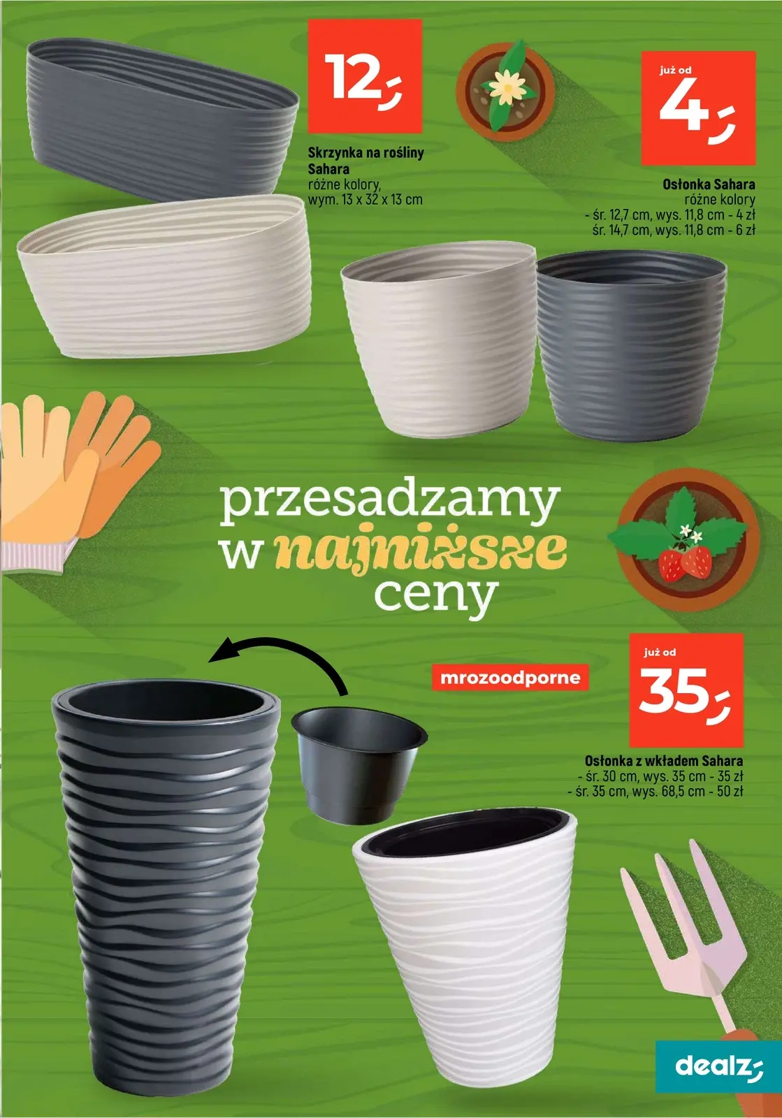 gazetka promocyjna Dealz Przesadzamy w najniższe ceny - Strona 29