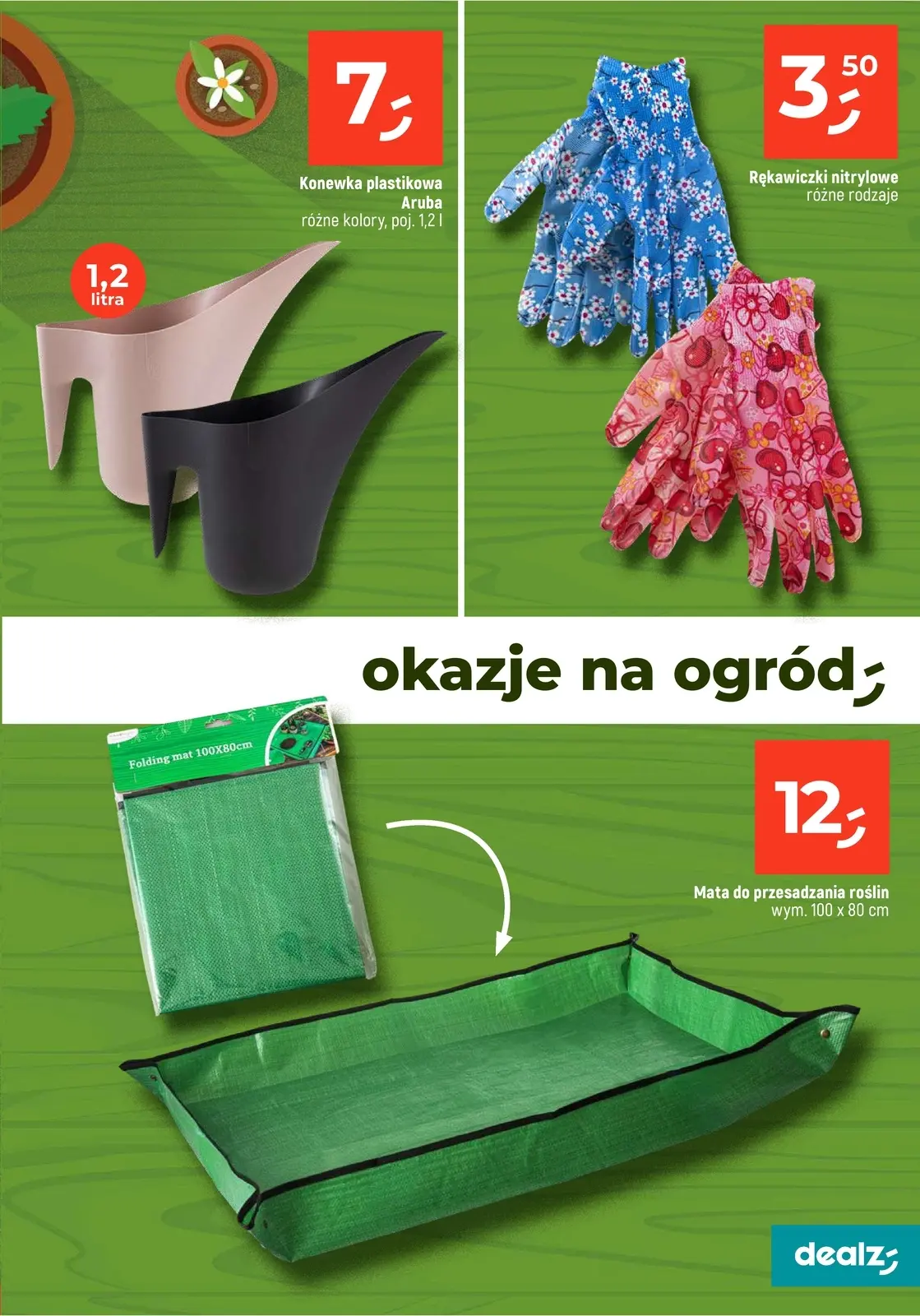 gazetka promocyjna Dealz Przesadzamy w najniższe ceny - Strona 31