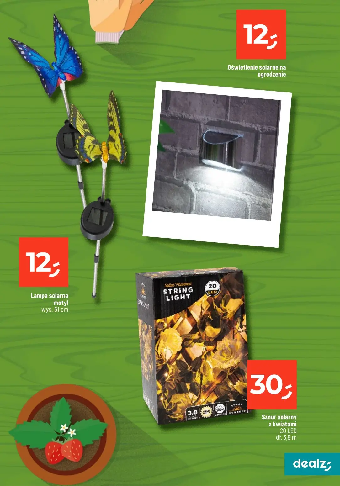 gazetka promocyjna Dealz Przesadzamy w najniższe ceny - Strona 9