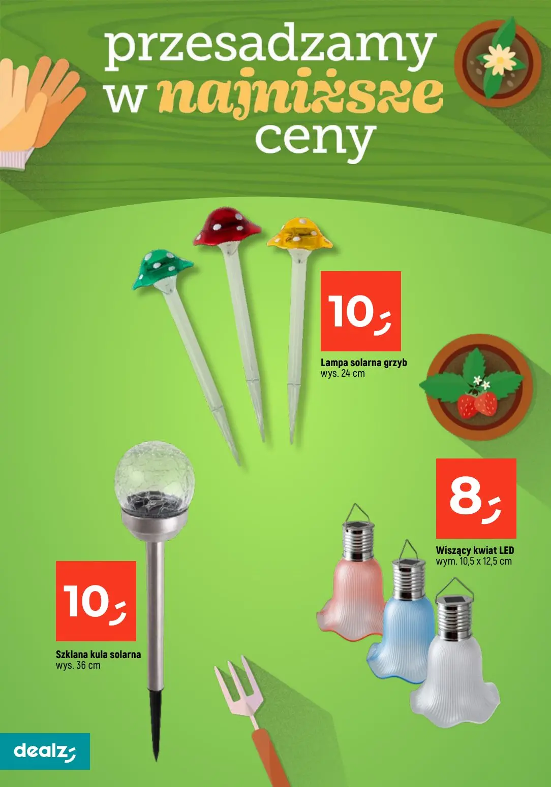 gazetka promocyjna Dealz Przesadzamy w najniższe ceny - Strona 12
