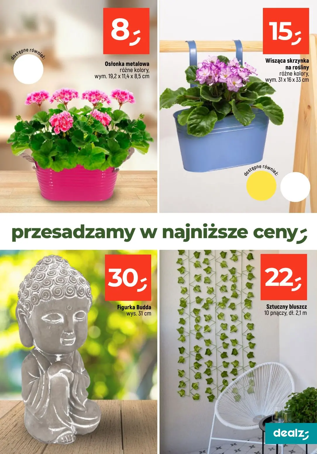 gazetka promocyjna Dealz Przesadzamy w najniższe ceny - Strona 19