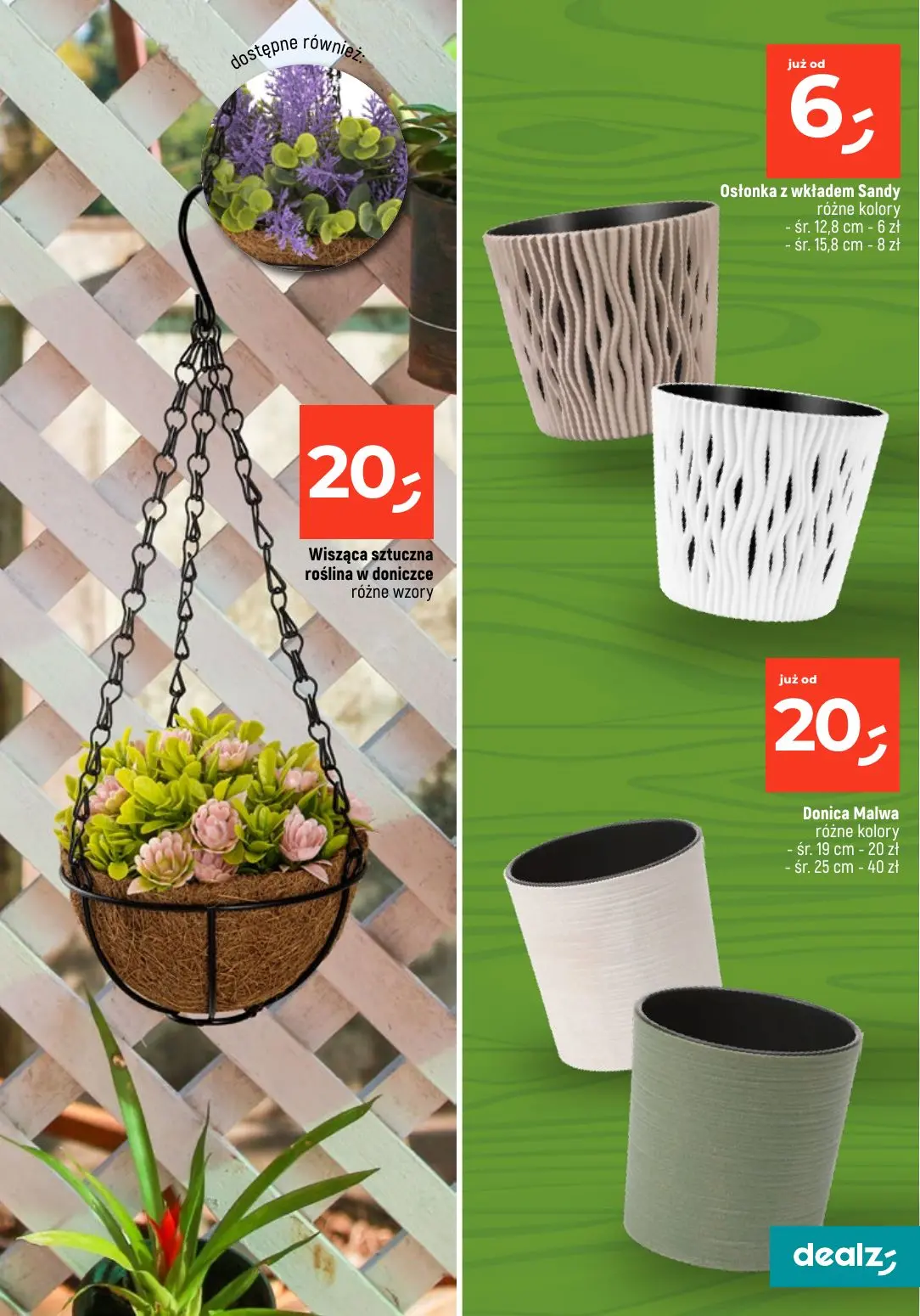 gazetka promocyjna Dealz Przesadzamy w najniższe ceny - Strona 21