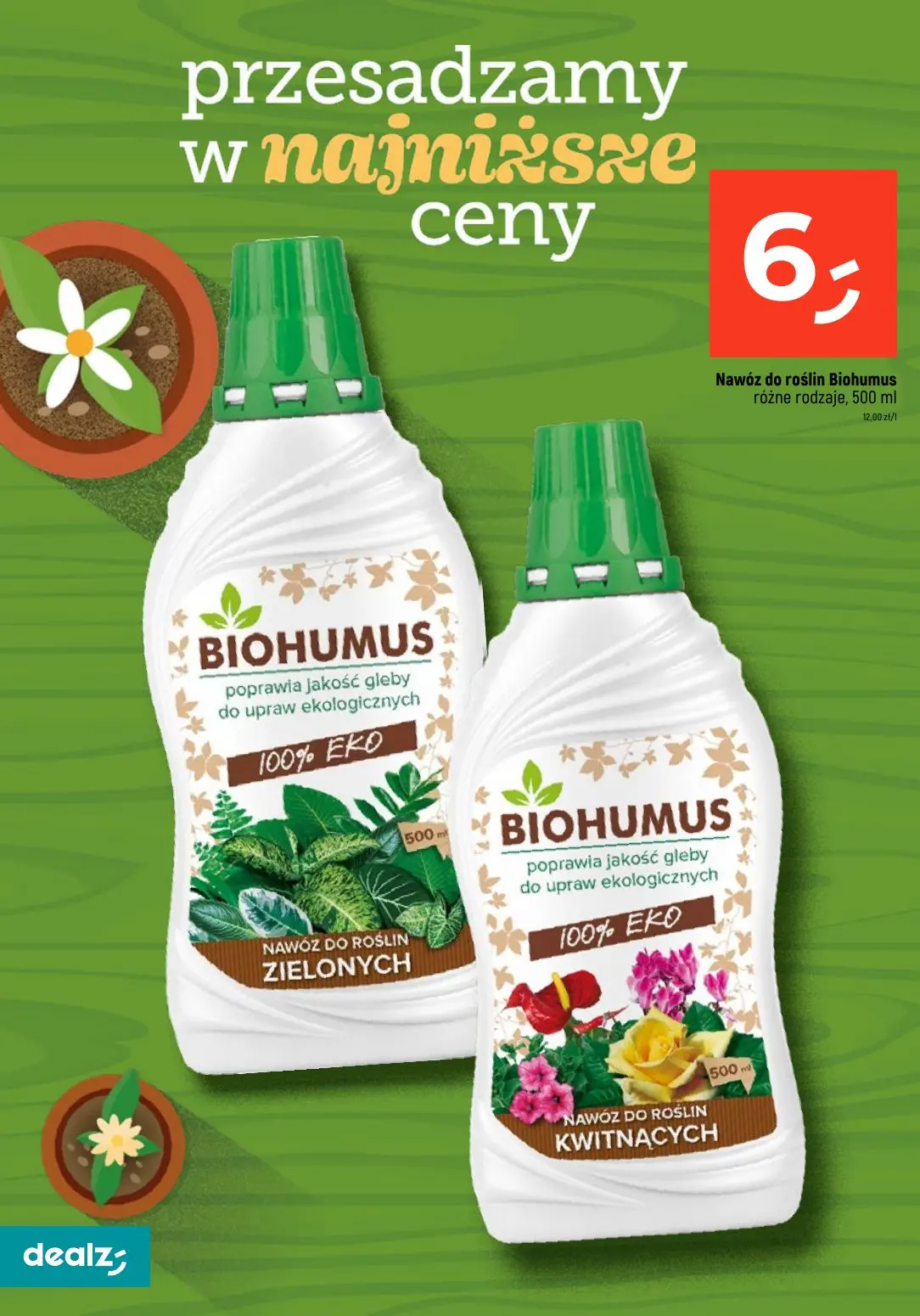 gazetka promocyjna Dealz Przesadzamy w najniższe ceny - Strona 24