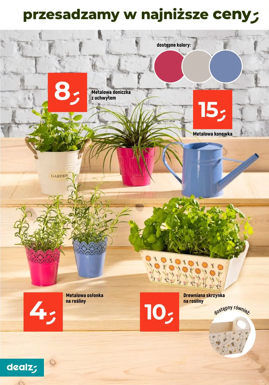 gazetka promocyjna Dealz Przesadzamy w najniższe ceny - Strona 26