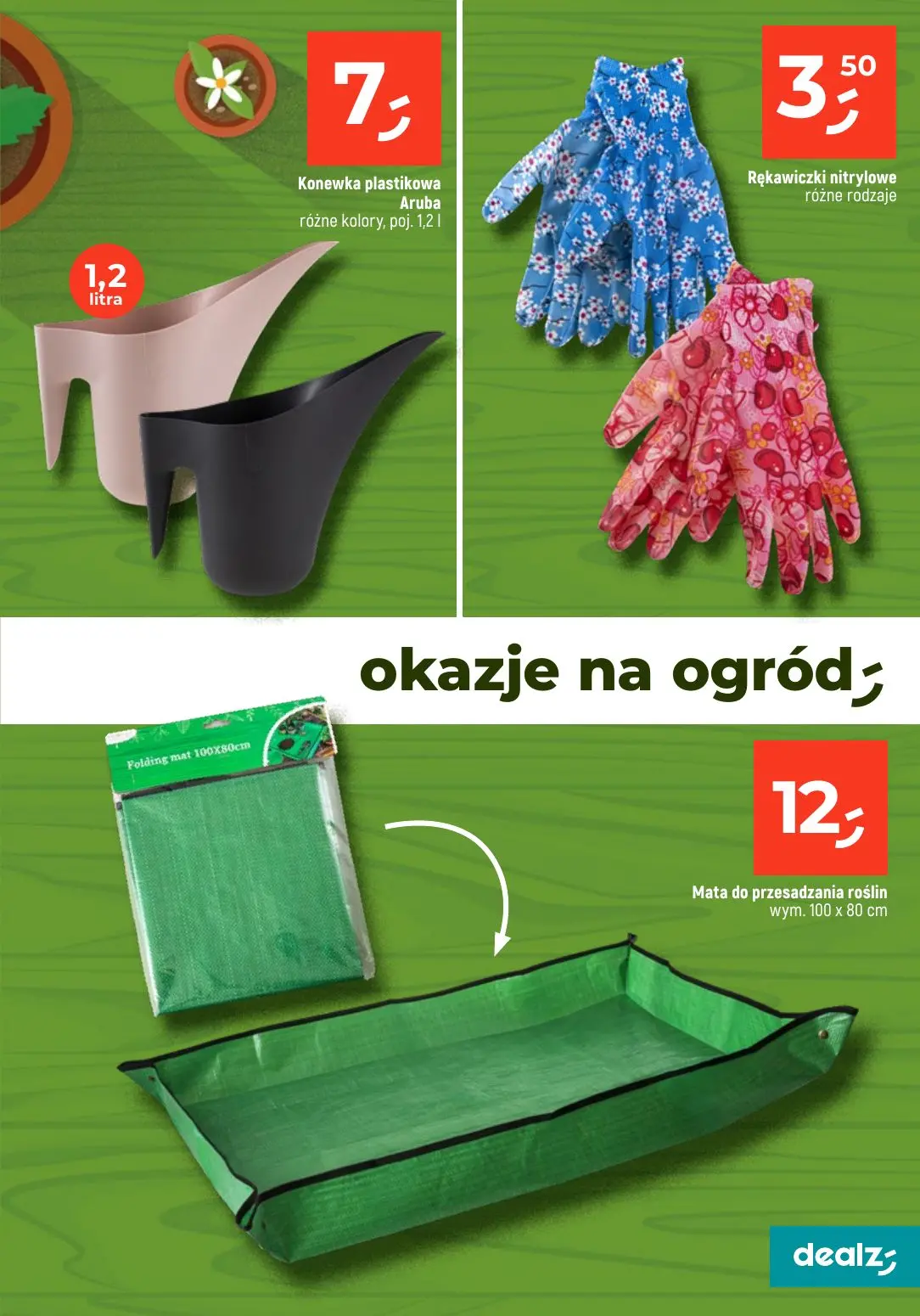 gazetka promocyjna Dealz Przesadzamy w najniższe ceny - Strona 31