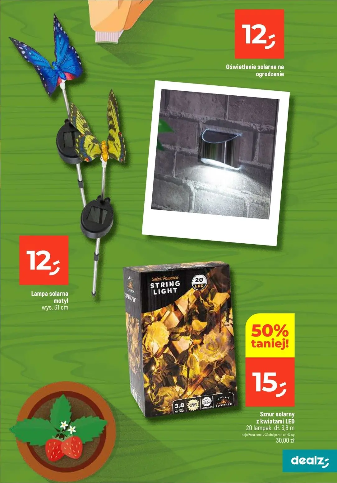 gazetka promocyjna Dealz Przesadzamy w najniższe ceny - Strona 5