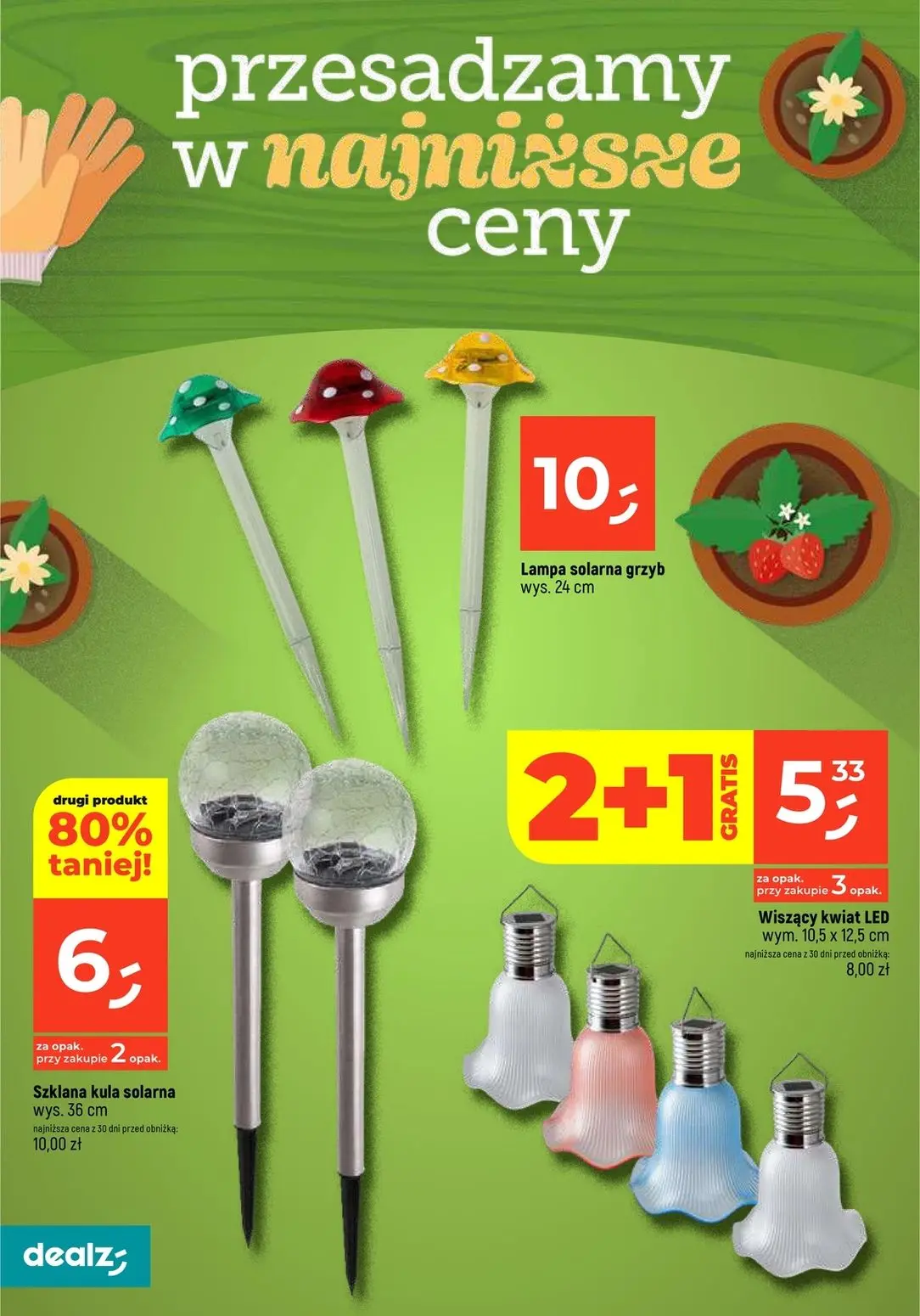 gazetka promocyjna Dealz Przesadzamy w najniższe ceny - Strona 8