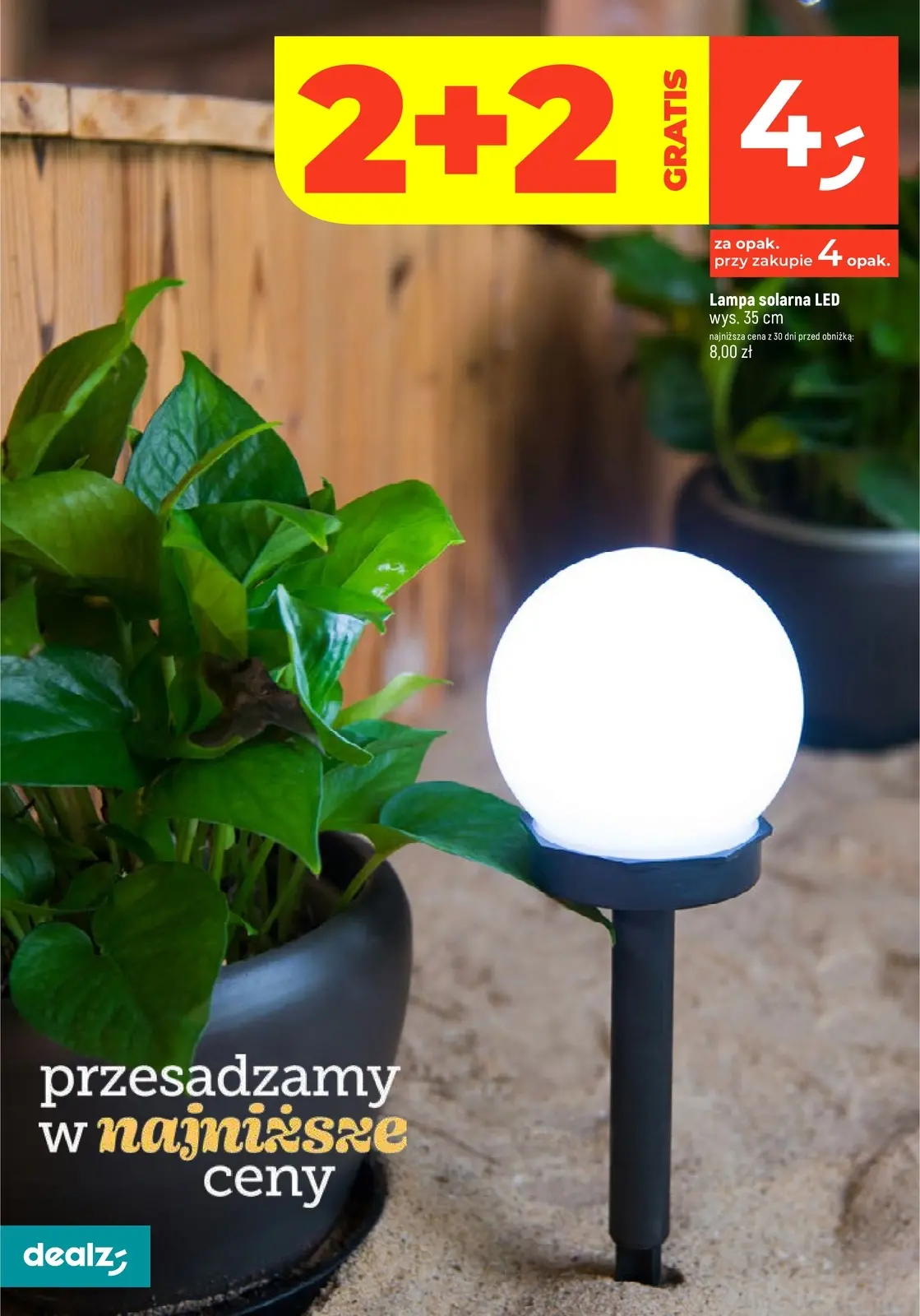 gazetka promocyjna Dealz Przesadzamy w najniższe ceny - Strona 10