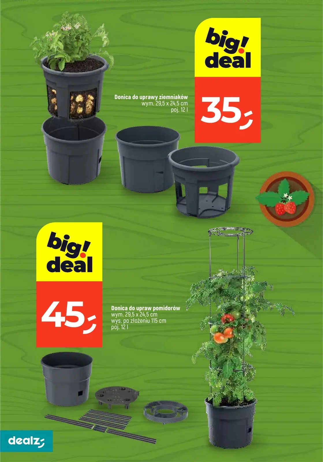 gazetka promocyjna Dealz Przesadzamy w najniższe ceny - Strona 18