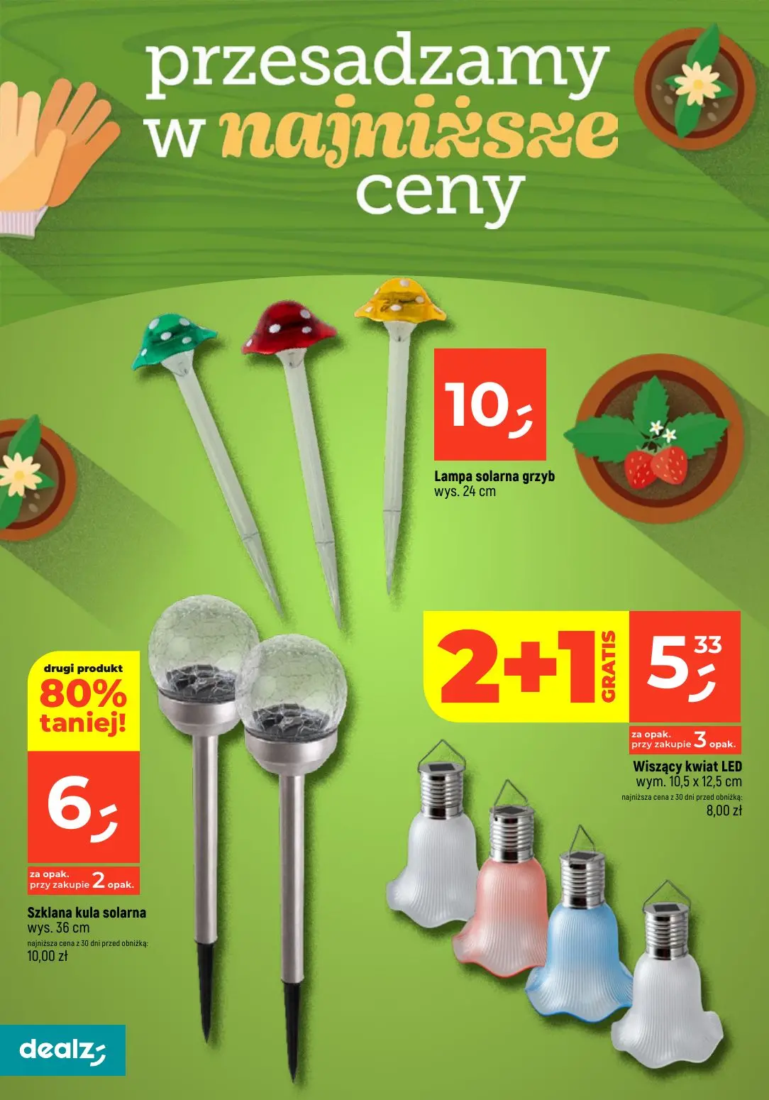 gazetka promocyjna Dealz Przesadzamy w najniższe ceny - Strona 8
