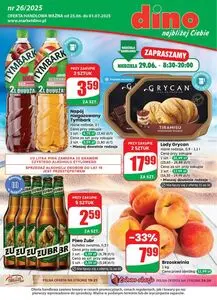 Gazetka promocyjna dino, ważna od 2025-06-25 do 2025-07-01.