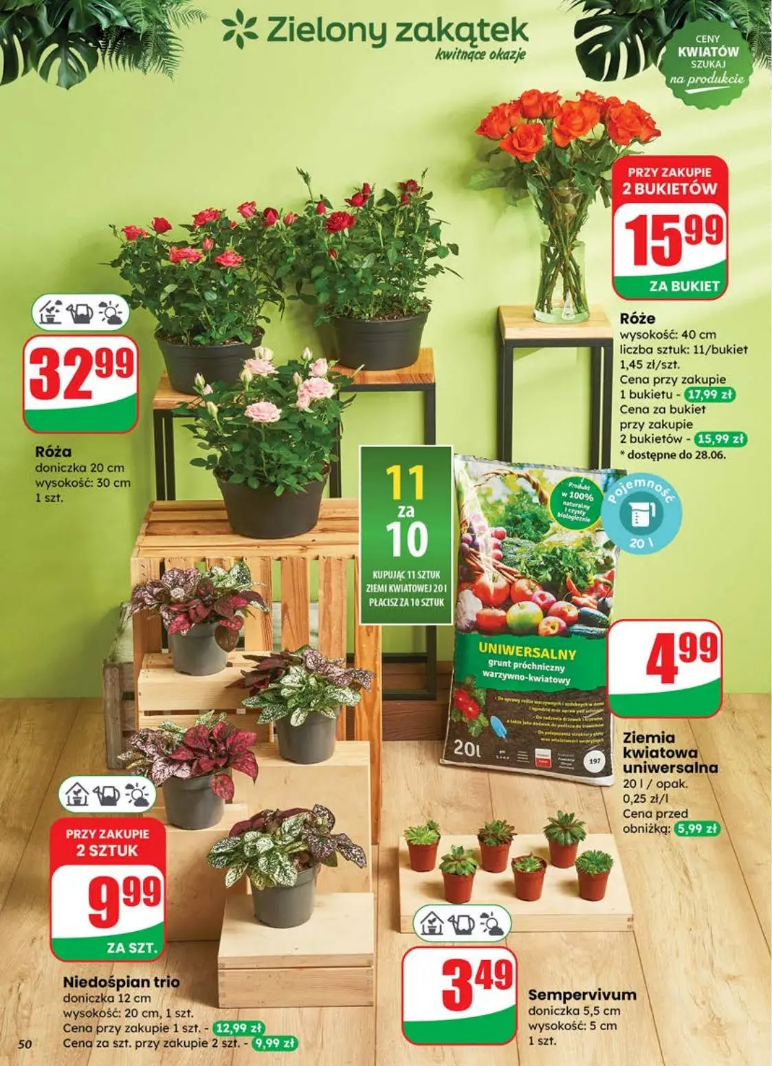 gazetka promocyjna dino Najbliżej Ciebie - Strona 50