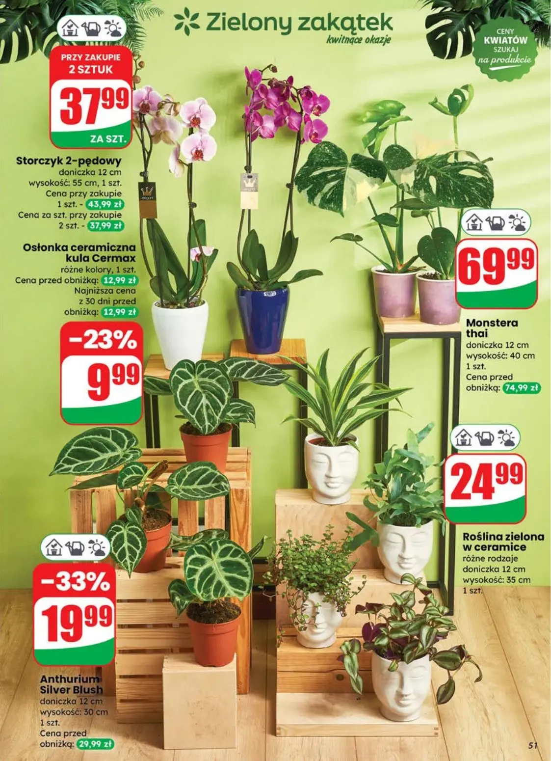 gazetka promocyjna dino Najbliżej Ciebie - Strona 51