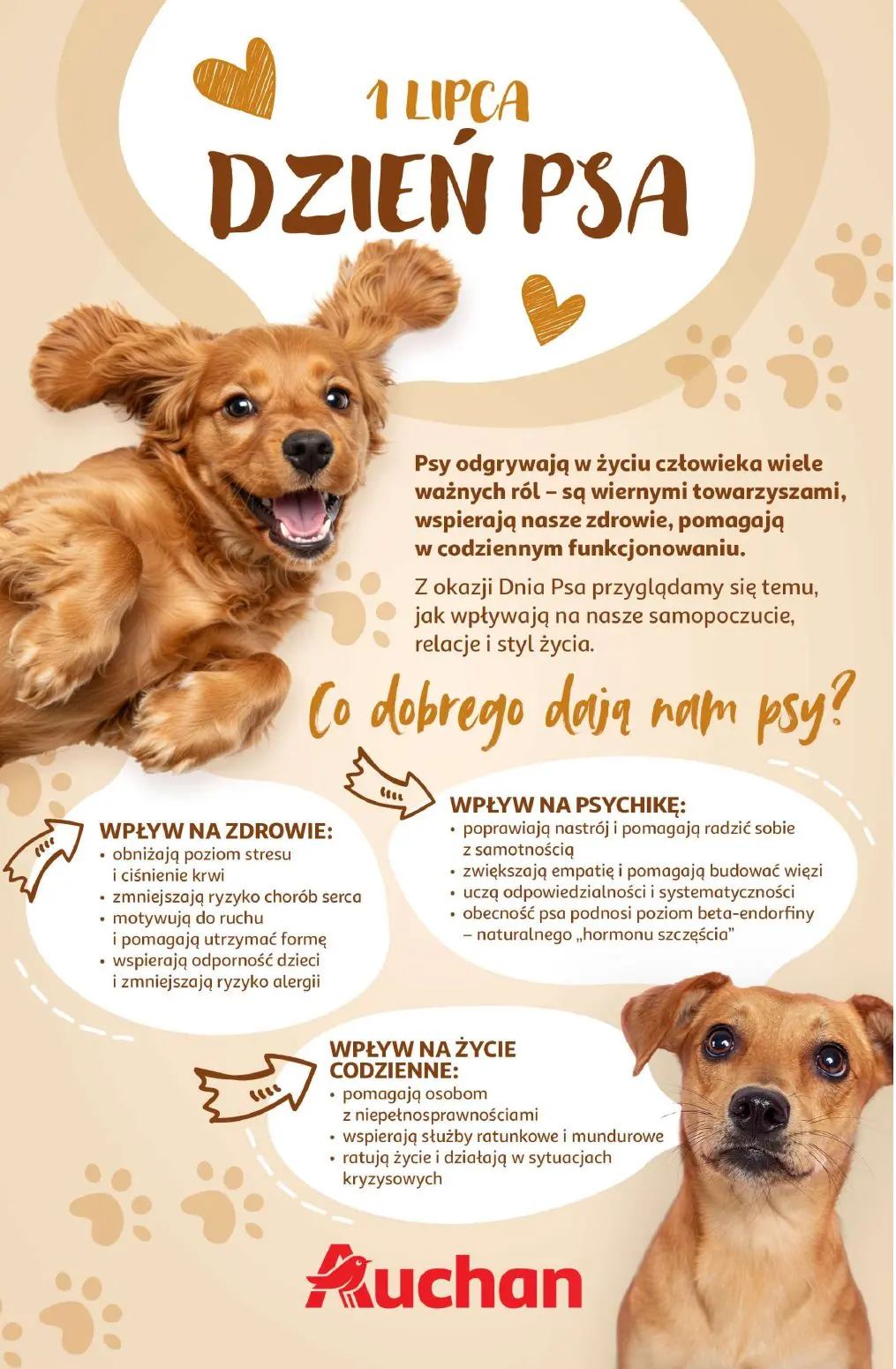 gazetka promocyjna Auchan Wielkie przeboje cenowe - Strona 32