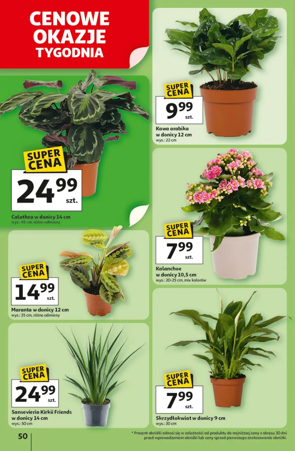 gazetka promocyjna Auchan Wielkie przeboje cenowe - Strona 54