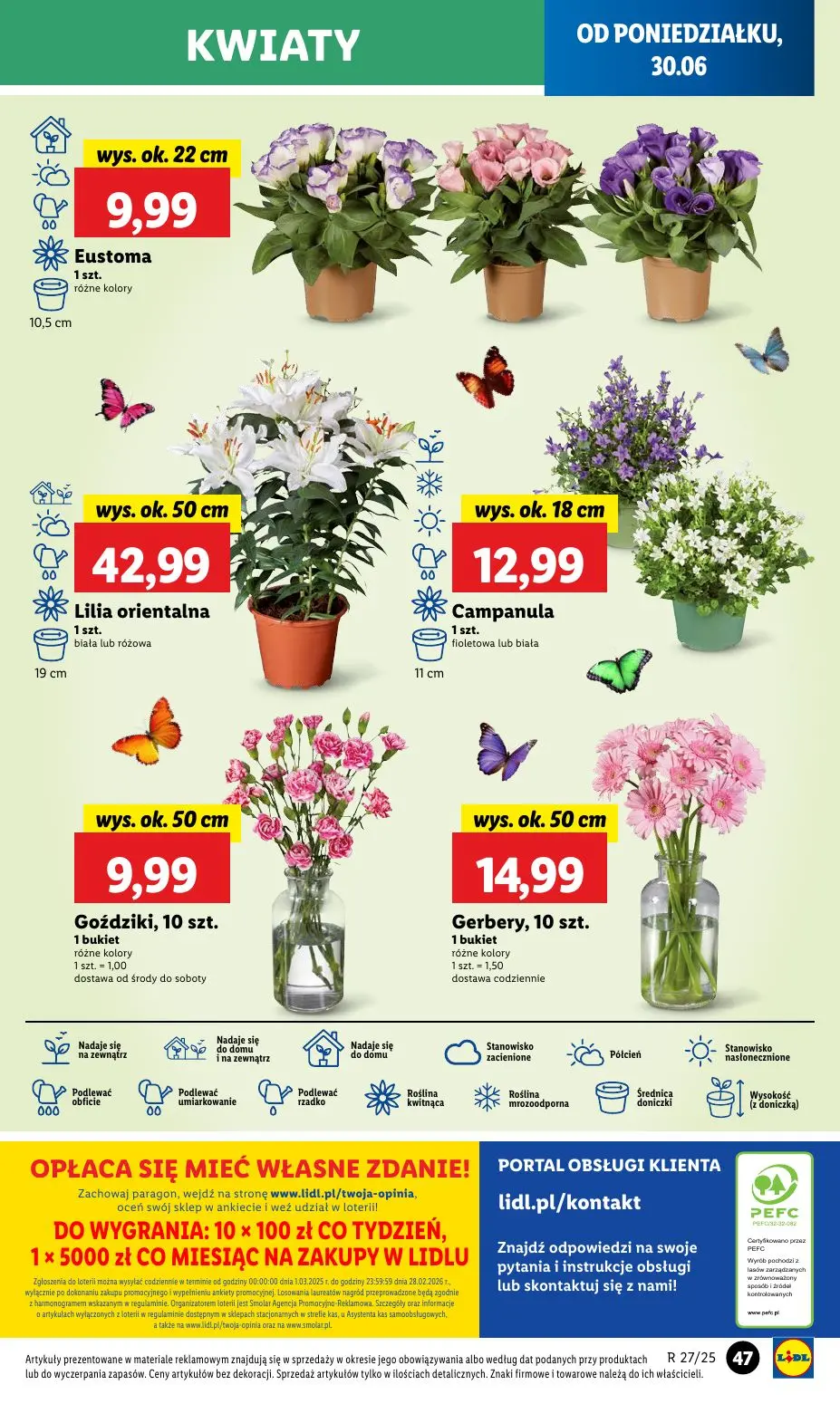 gazetka promocyjna LIDL Od poniedziałku - Strona 55